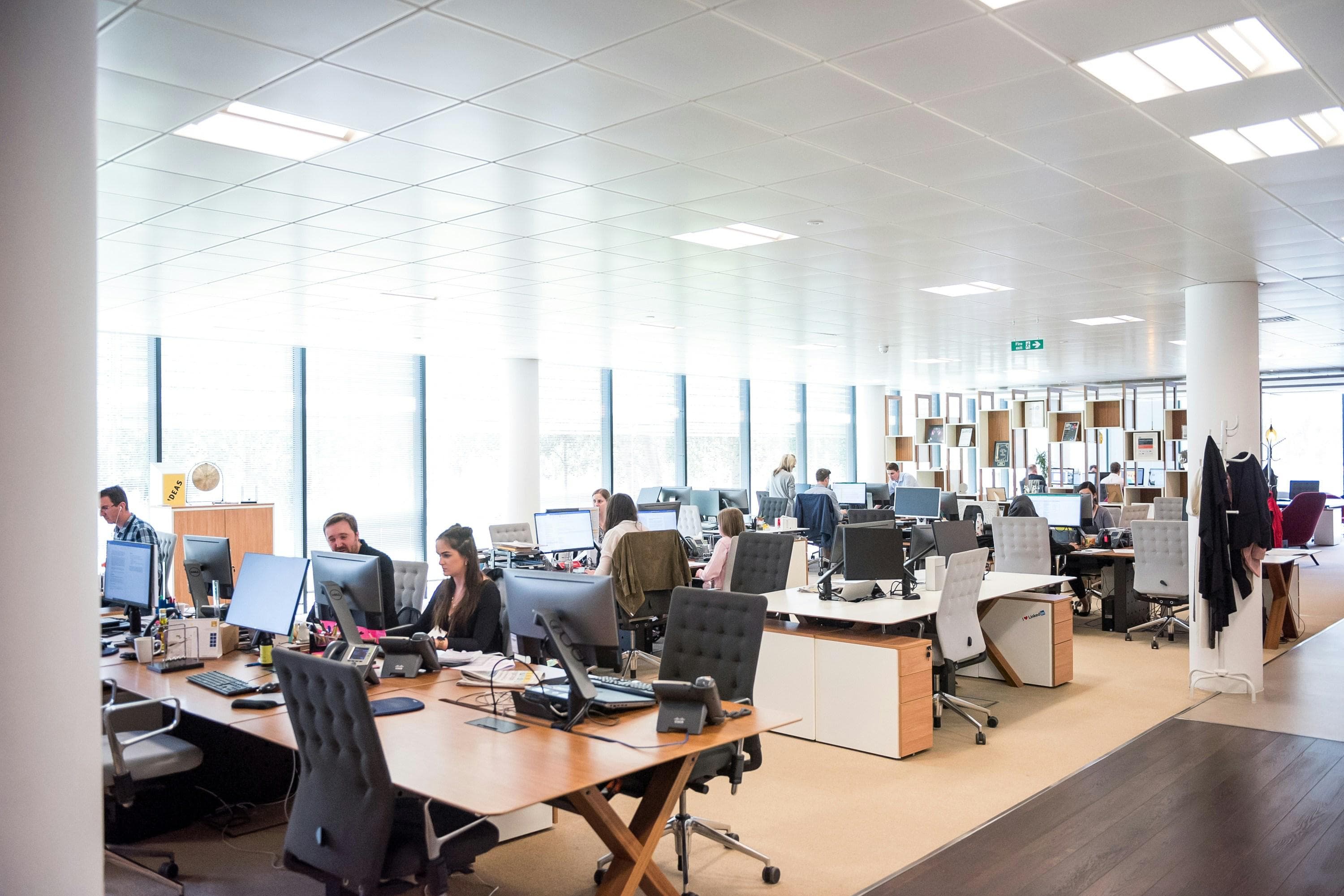 IT professionals collaborating in a modern tech office